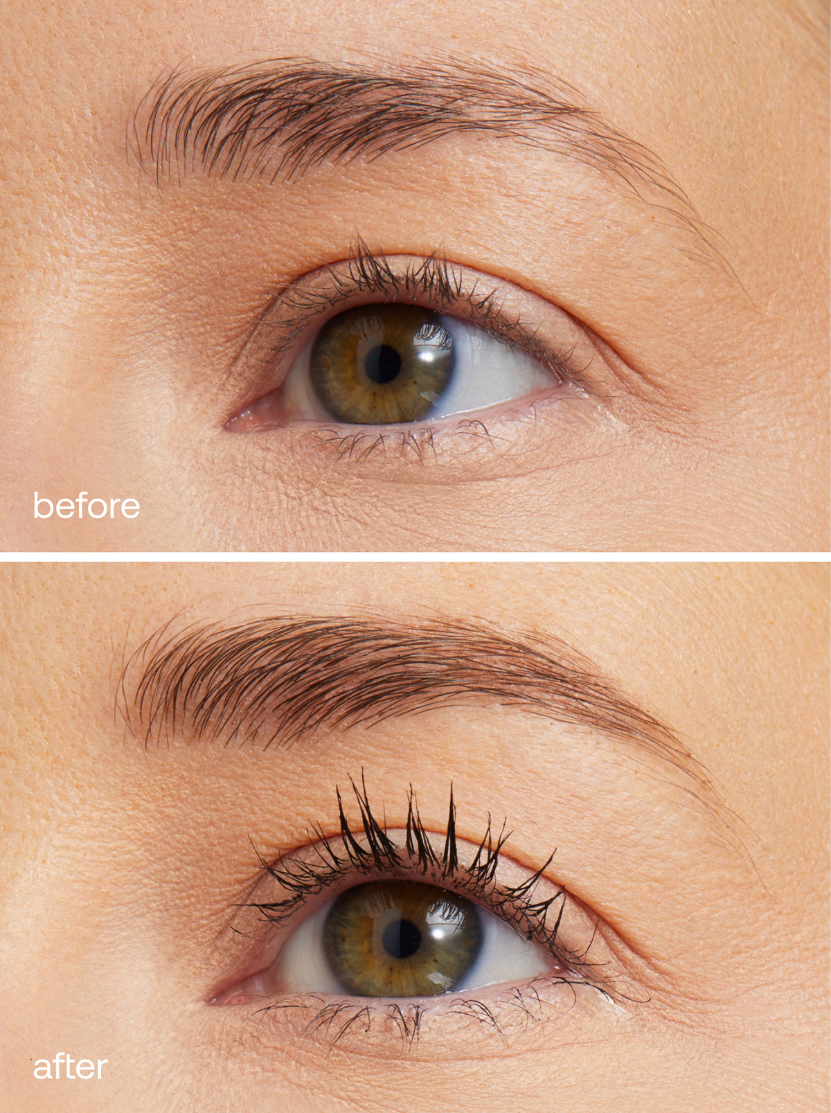 The Long Lash Essentials