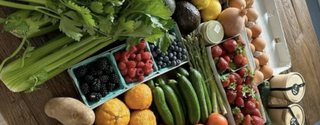 best diet for hair growth