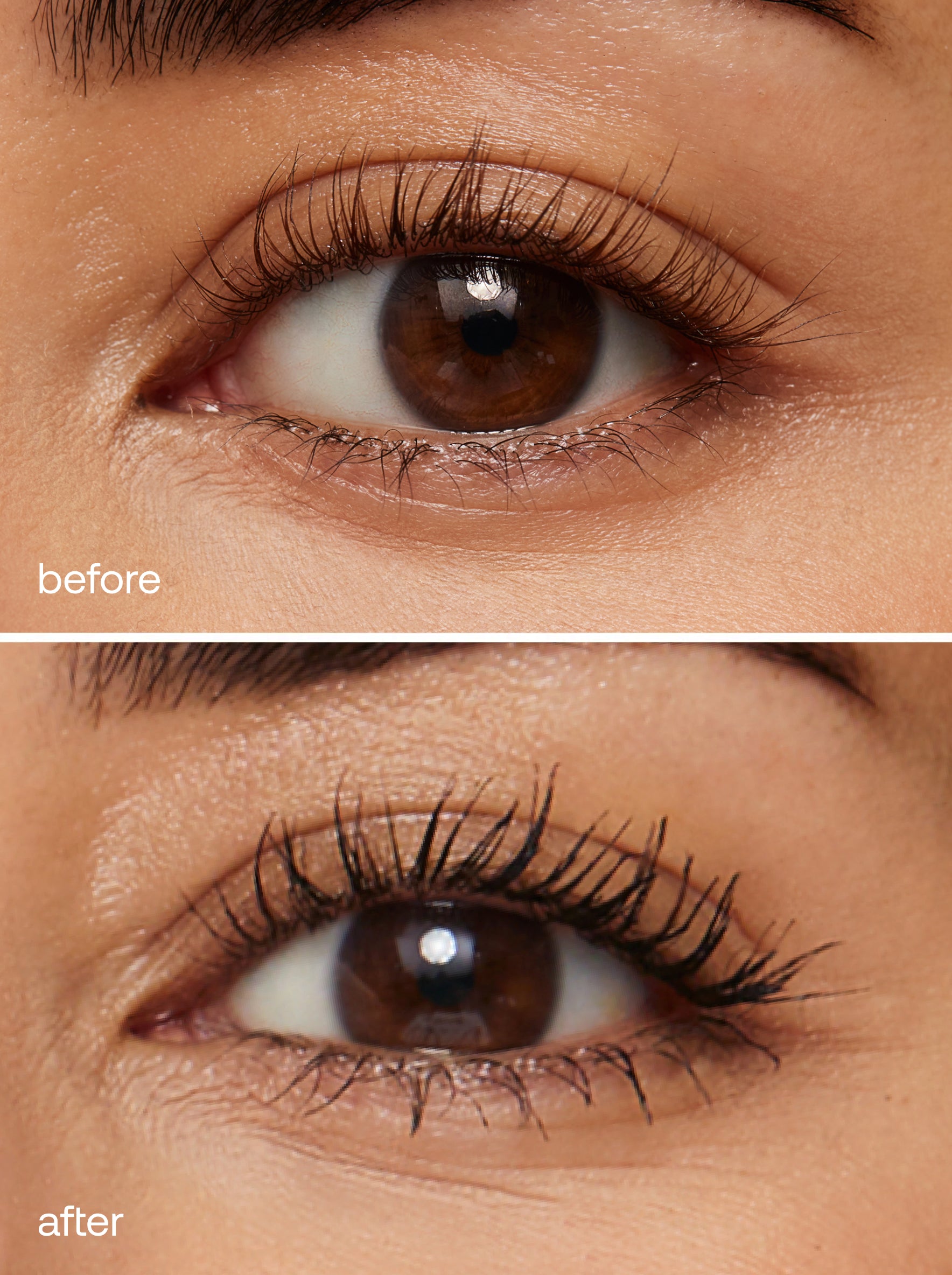 Lash Lift Gel + Volume Boost Mascara