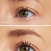 The Long Lash Essentials