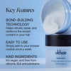 The Hair Care Essentials - UKLASH
