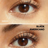 The Penthouse Lash Edit - UKLASH